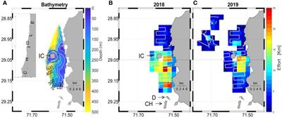 Understanding the oceanographic dynamics of the Isla Chañaral baleen whale feeding ground, (Humboldt Archipelago, Northern Chile) to extend habitat protection